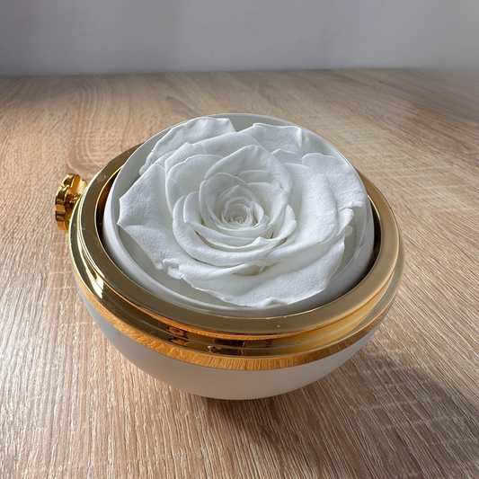 Everbloom – Emotion Box